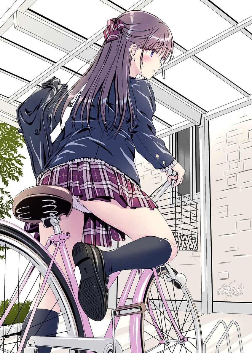 【画像】JKって自転車乗ってる時サドルにパンツ直付けしてね？ｗｗｗｗｗ 285